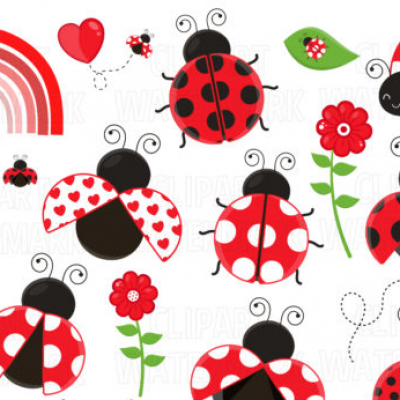 Ladybug picture